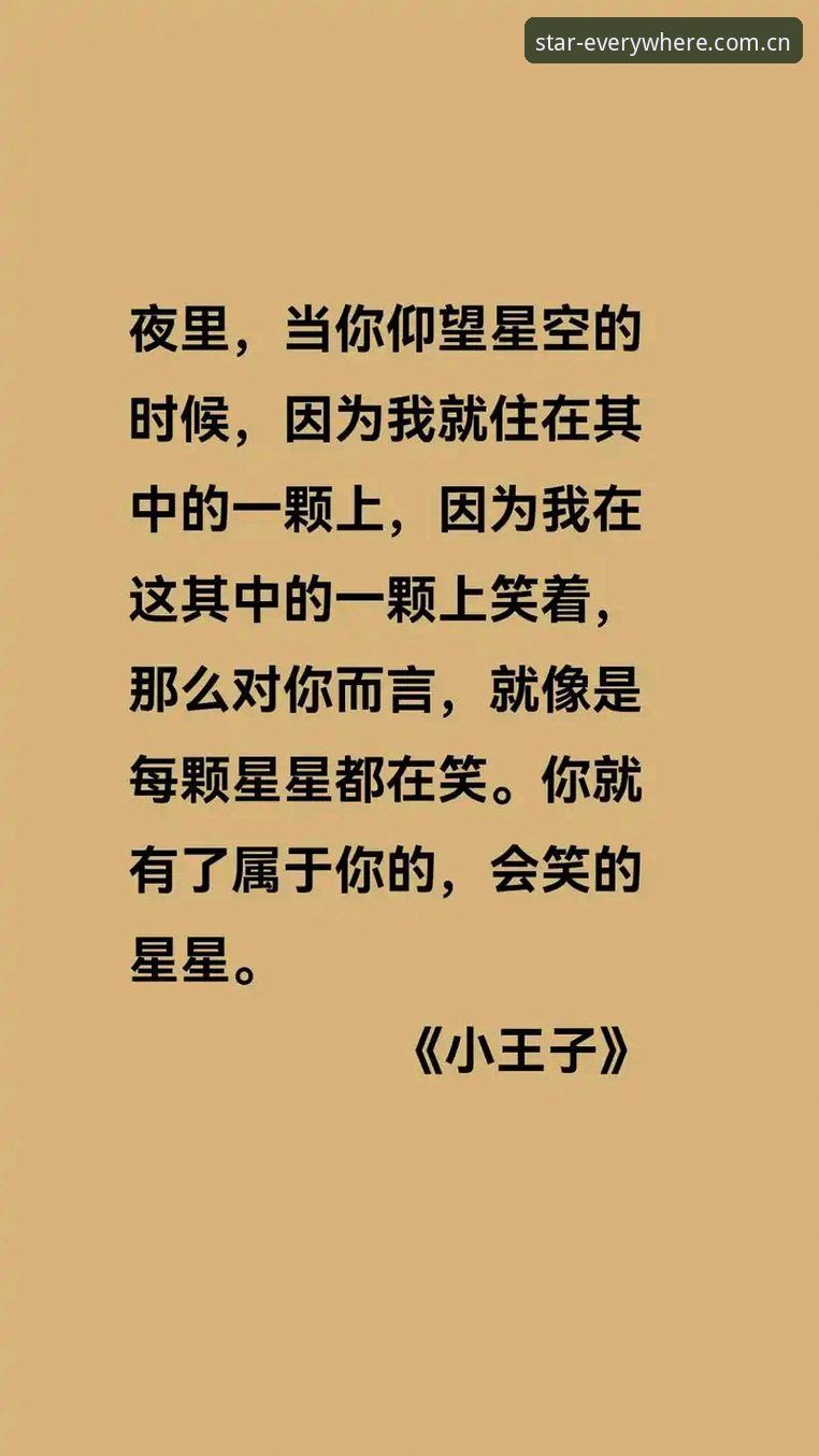 当你以为买得起票，其实只够看个星空