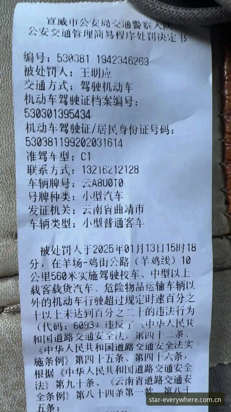 摩纳哥维修区超速罚单满天飞，谁该为0.1公里/小时的误差买单？